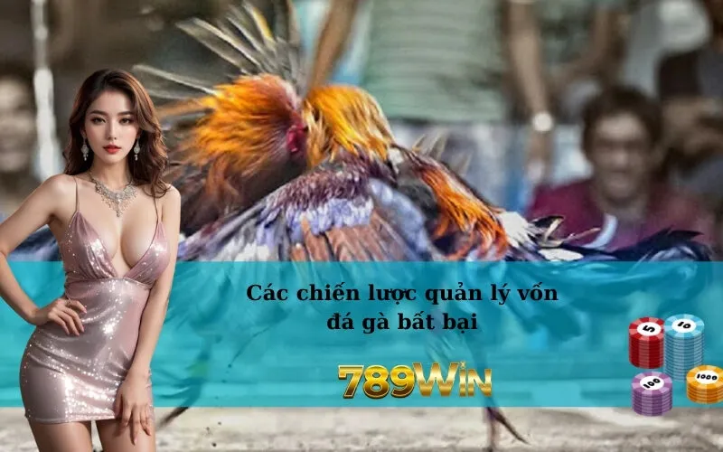 Các chiến lược quản lý vốn đá gà bất bại