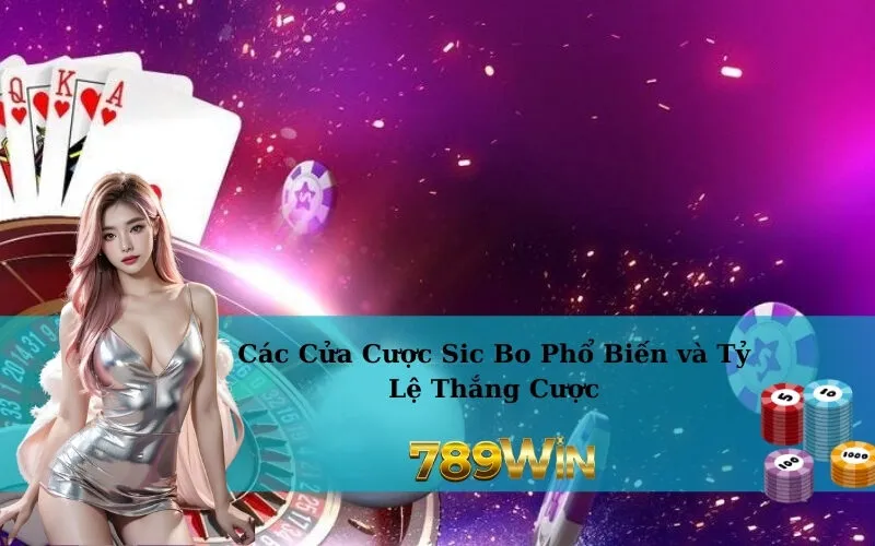 Các Cửa Cược Sic Bo Phổ Biến và Tỷ Lệ Thắng Cược