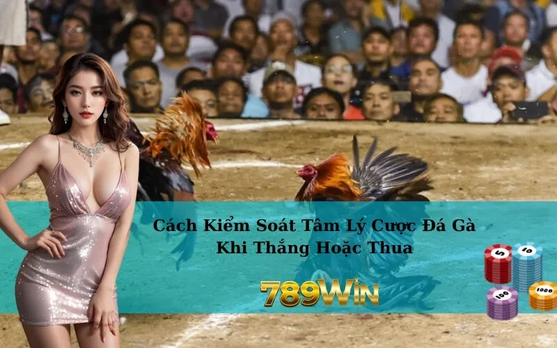 Cách Kiểm Soát Tâm Lý Cược Đá Gà Khi Thắng Hoặc Thua