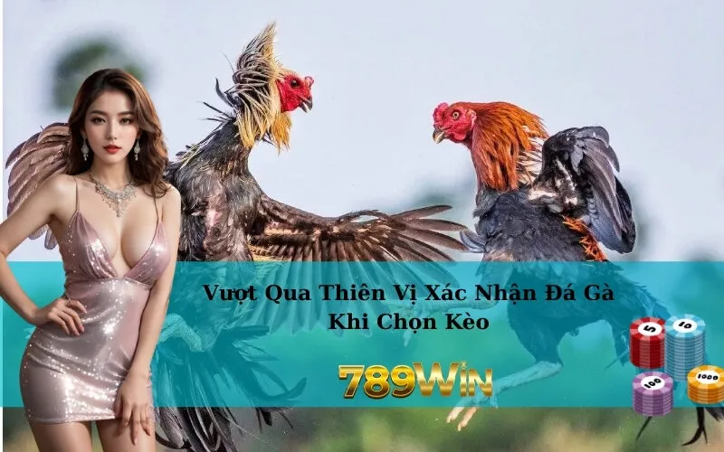 Vượt Qua Thiên Vị Xác Nhận Đá Gà Khi Chọn Kèo